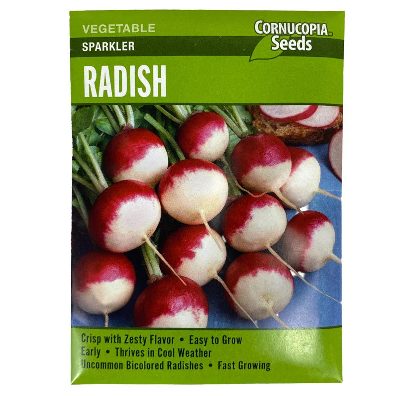 Organic Sparkler Radish White Top