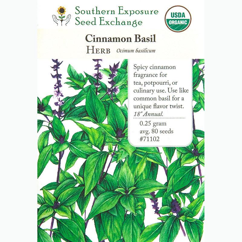 Cinnamon Basil Seeds (Organic)