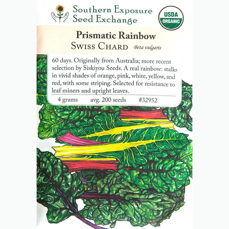 Prismatic Rainbow Chard Seeds (Organic)