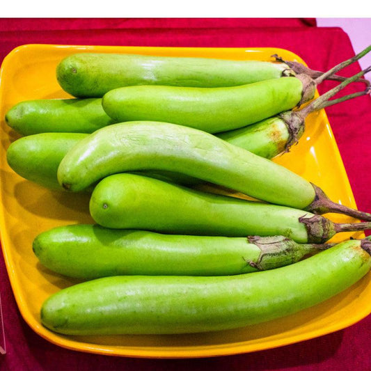 Louisiana Long Green Eggplant Seeds (Organic)