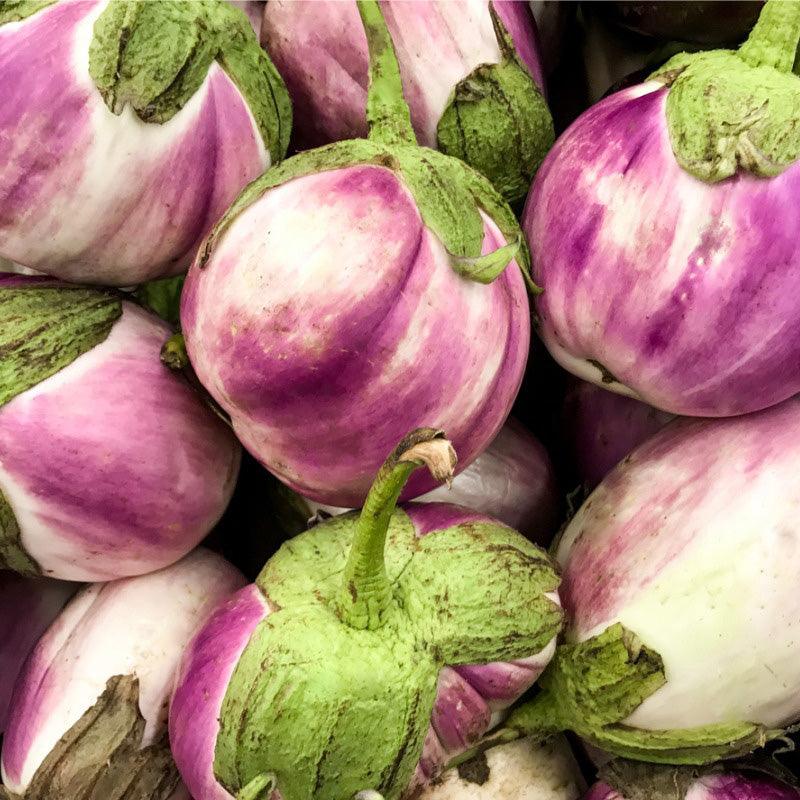 Rosa Bianca Eggplant Seeds (Organic)
