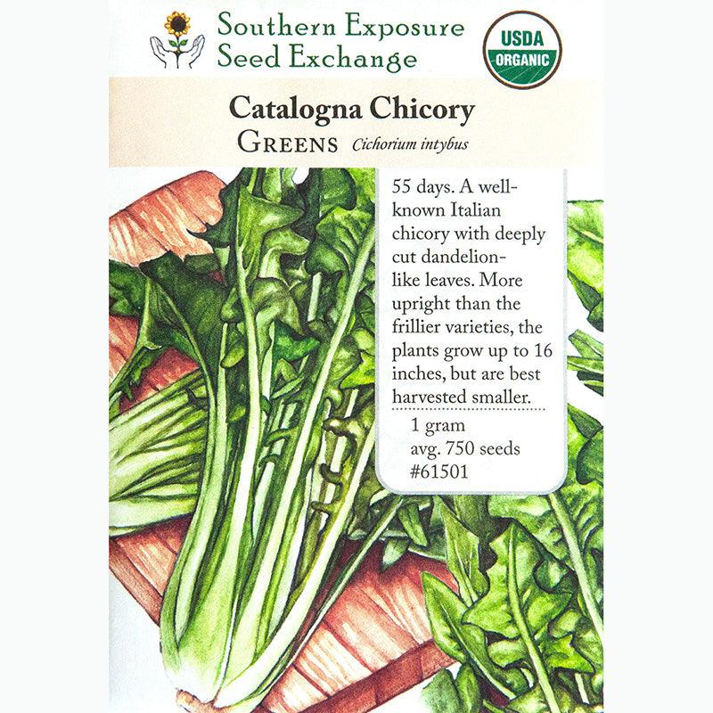Chicory Catalogna Seeds (Organic)