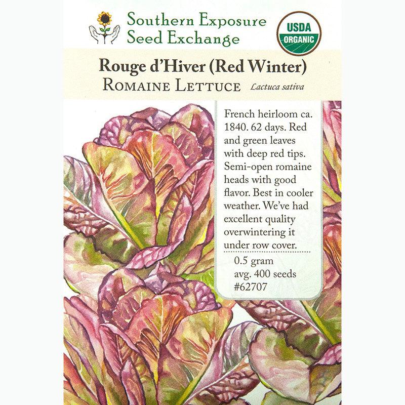 Rouge D'Hiver Romaine/Cos Lettuce Seeds (Organic)