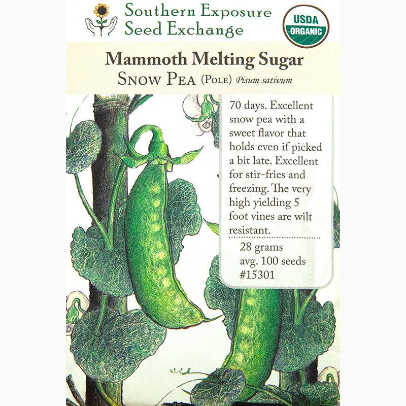 Snow Mammoth Melting Sugar Pea Seeds (Organic)