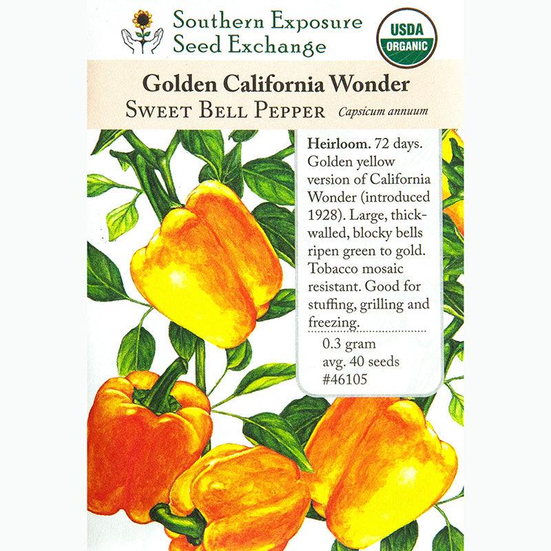 Golden Calwonder Sweet Pepper Seeds (Organic)