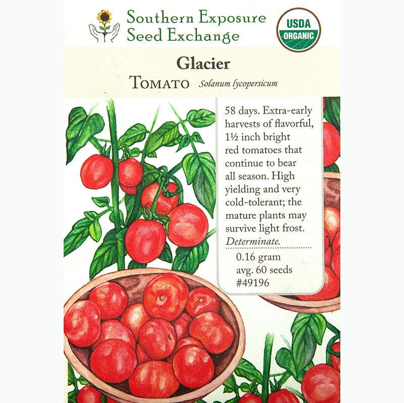 Glacier Tomato Seeds (Organic)
