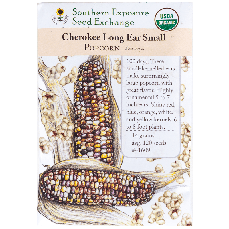 Cherokee Long Ear Popcorn Corn (Organic)