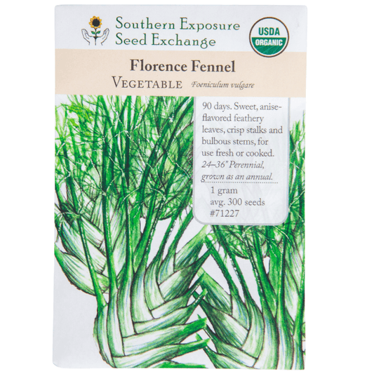 Florence Fennel (Organic)