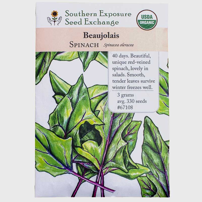 Beaujolais Spinach Seeds (Organic)