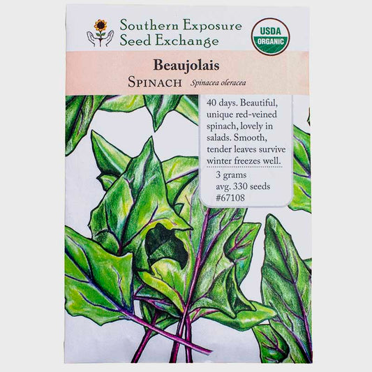 Beaujolais Spinach Seeds (Organic)