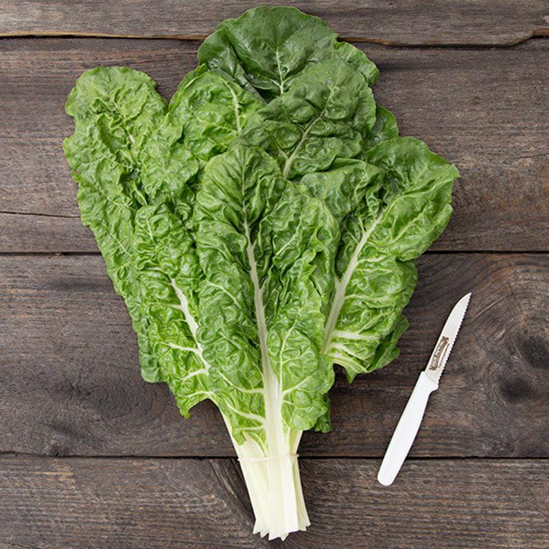 Fordhook Giant Chard Seeds (Organic)