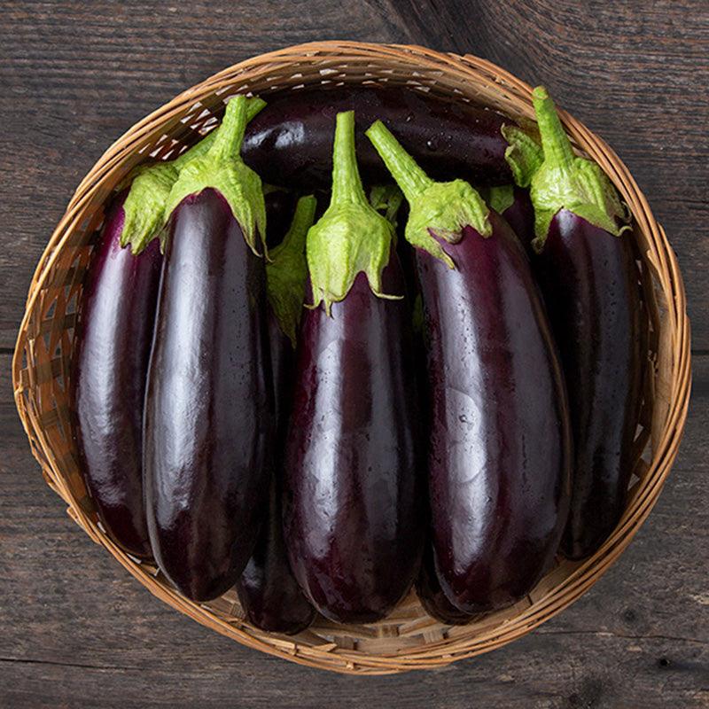 Diamond Eggplant Seeds (Organic)