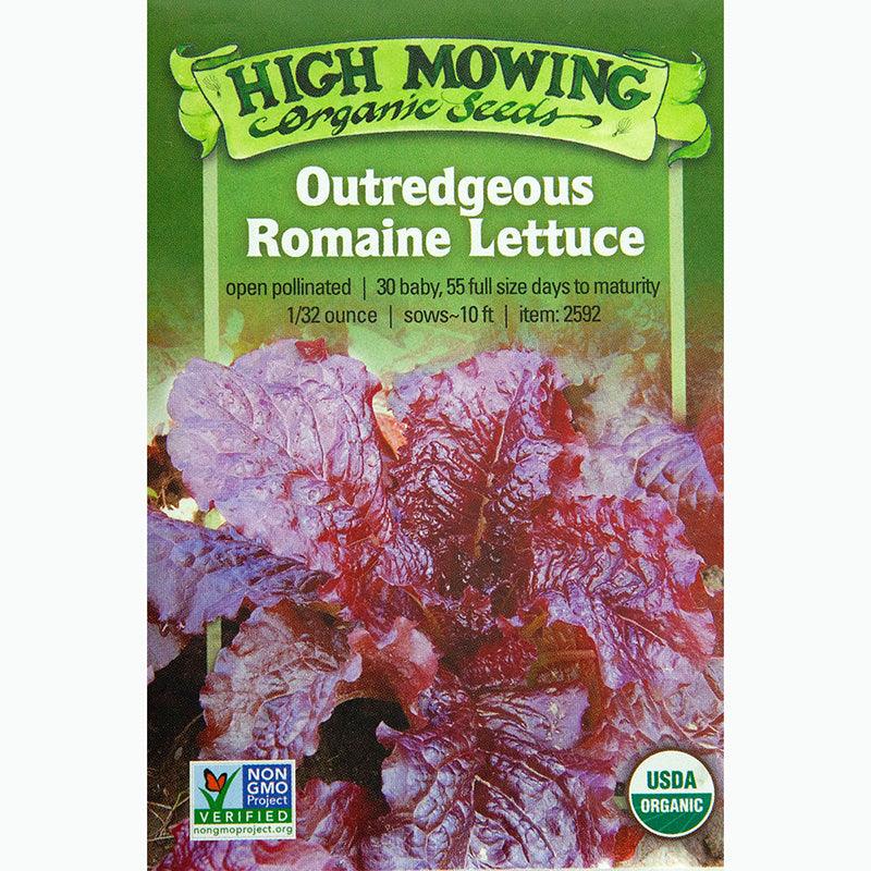 Outredgeous Romaine Lettuce Seeds (Organic)