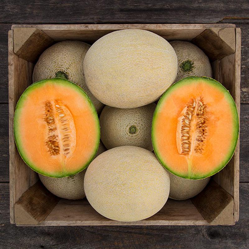 True Love F1 Melon Seeds (Organic)