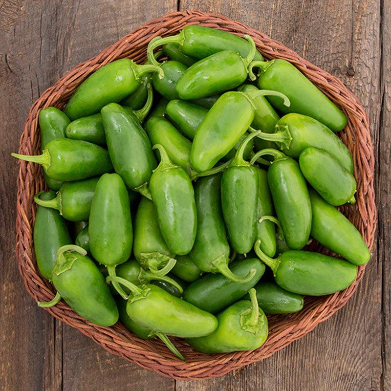 Hot Jalapeno Early Pepper Seeds (Organic)
