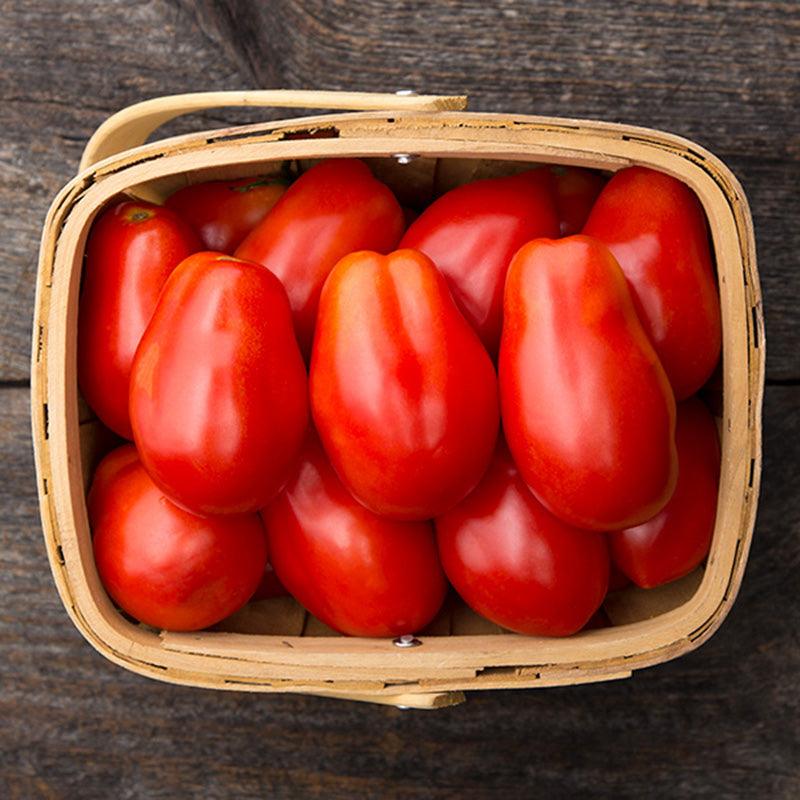 Roma VF Paste Tomato Seeds (Organic)