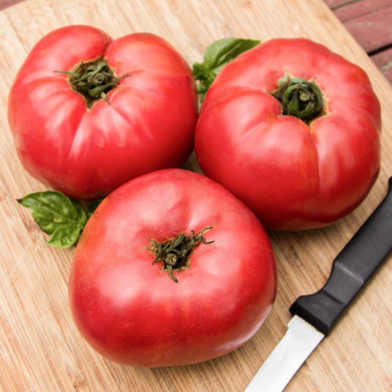 Prudens Purple Tomato Seeds (Organic)