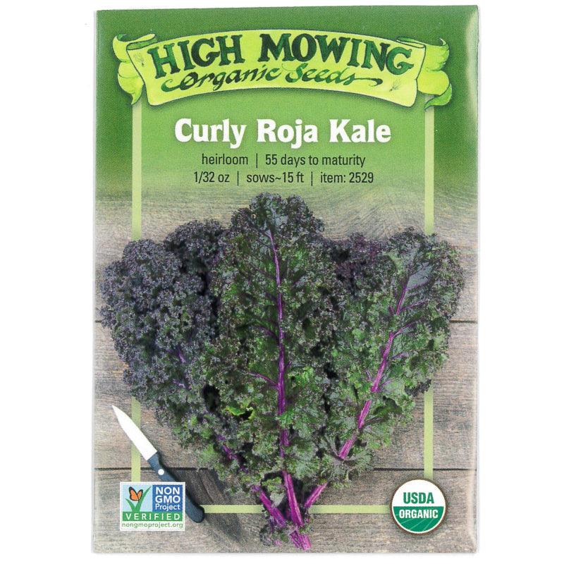 Curly Roja Kale Seeds (Organic)