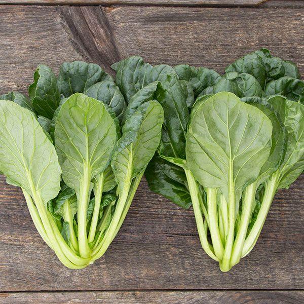 Tat Soi Asian Greens Seeds (Organic)