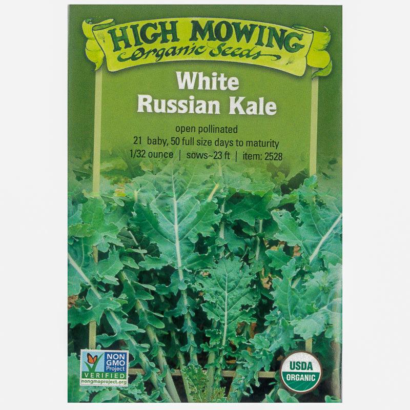 White Russian Kale Seeds (Organic)