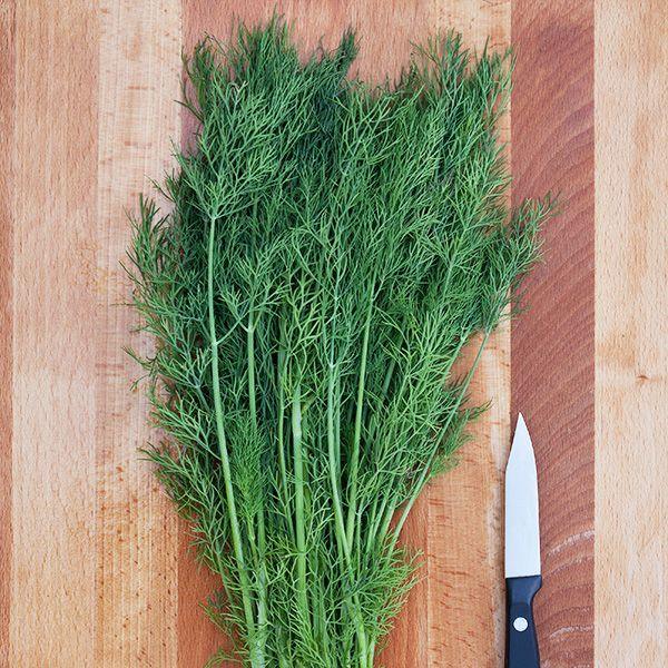Greensleeves Dill Seeds (Organic)