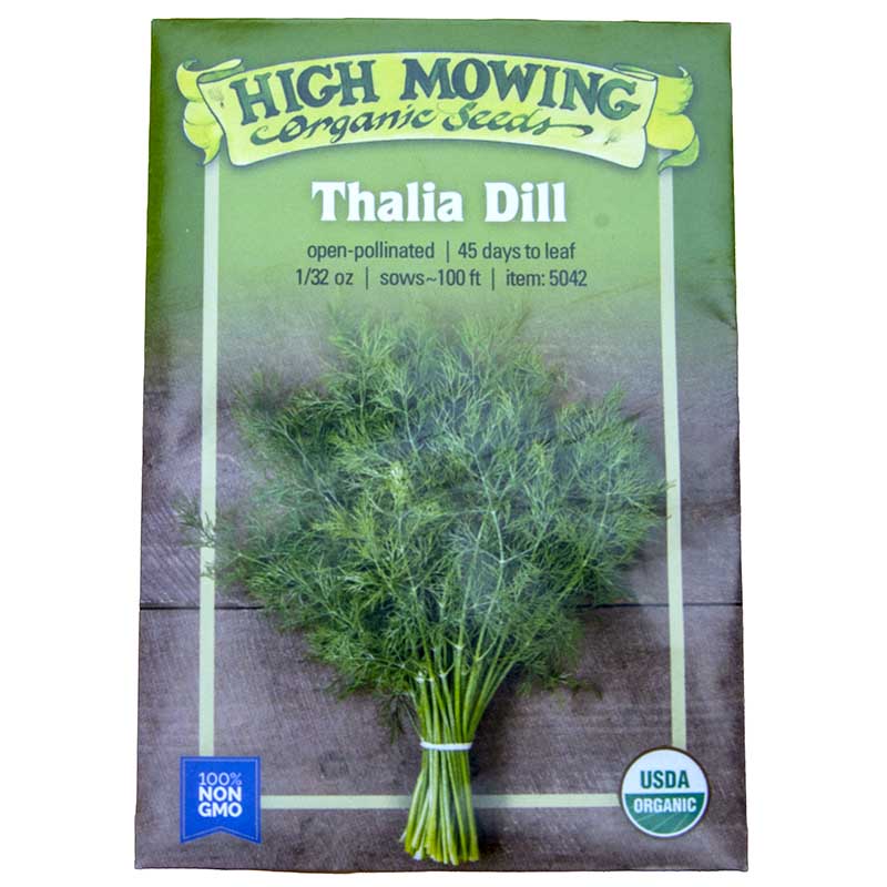 Thalia Dill Seeds (Organic)