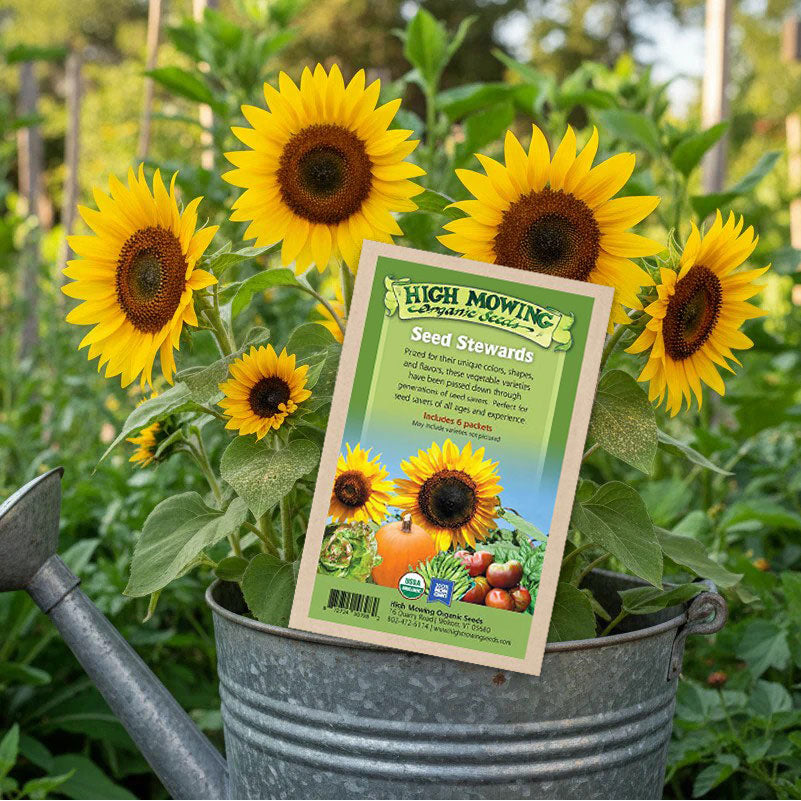 Seed Stewards 6 Packets Seeds (Organic)