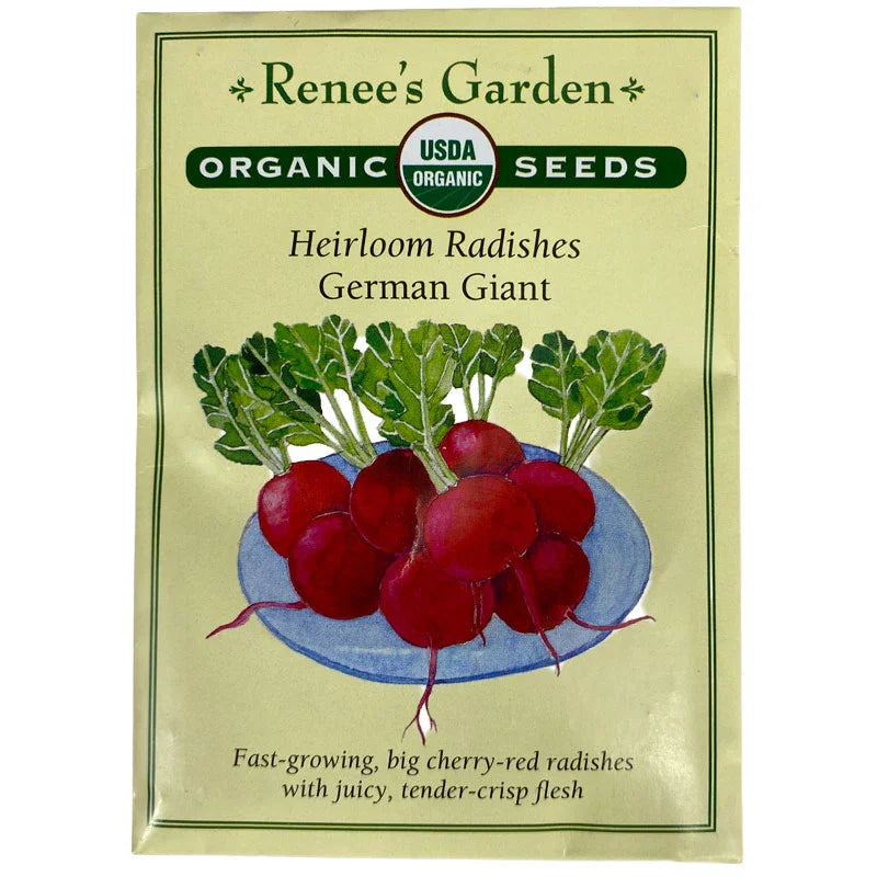 Organic German Giant Radish