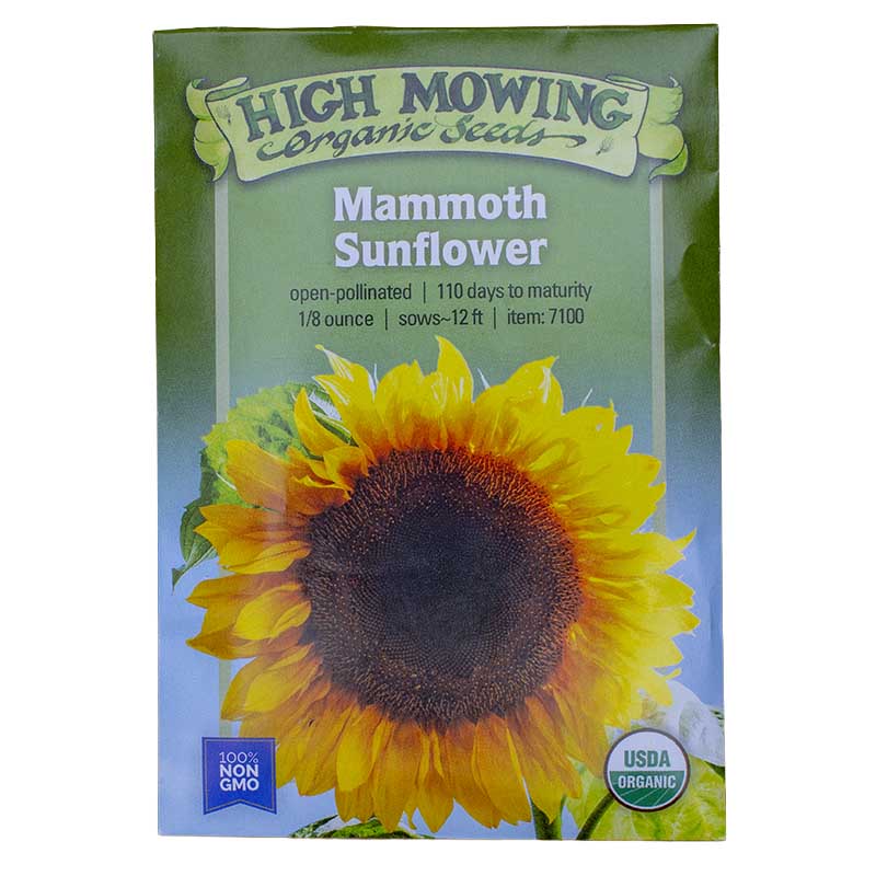 Kid's Garden 5 Seeds Packets (Organic)