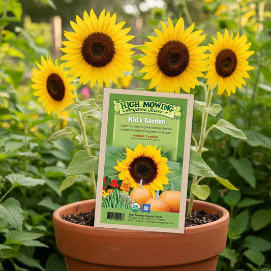 Kid's Garden 5 Seeds Packets (Organic)