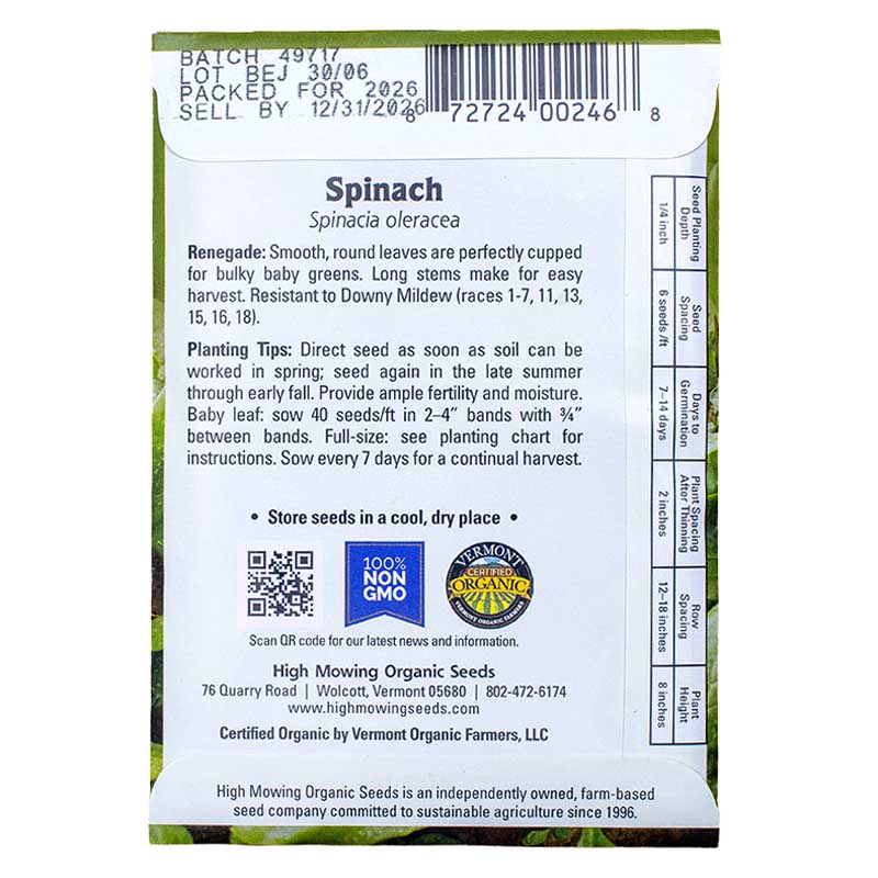 Easy Salad Greens 3 Seeds Packets (Organic)