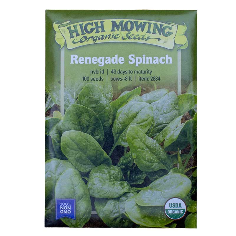 Easy Salad Greens 3 Seeds Packets (Organic)