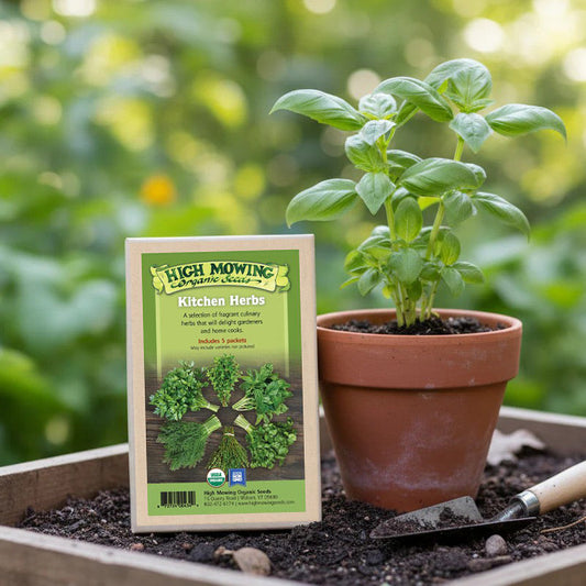 Organic Kitchen Herbs 5 Seeds Packets