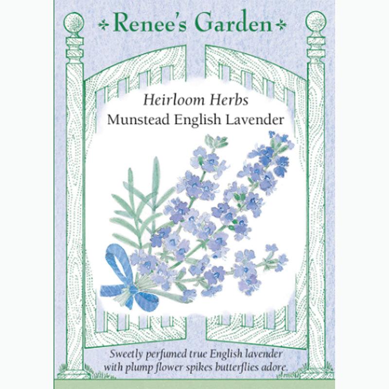 Munstead English Lavender Seeds