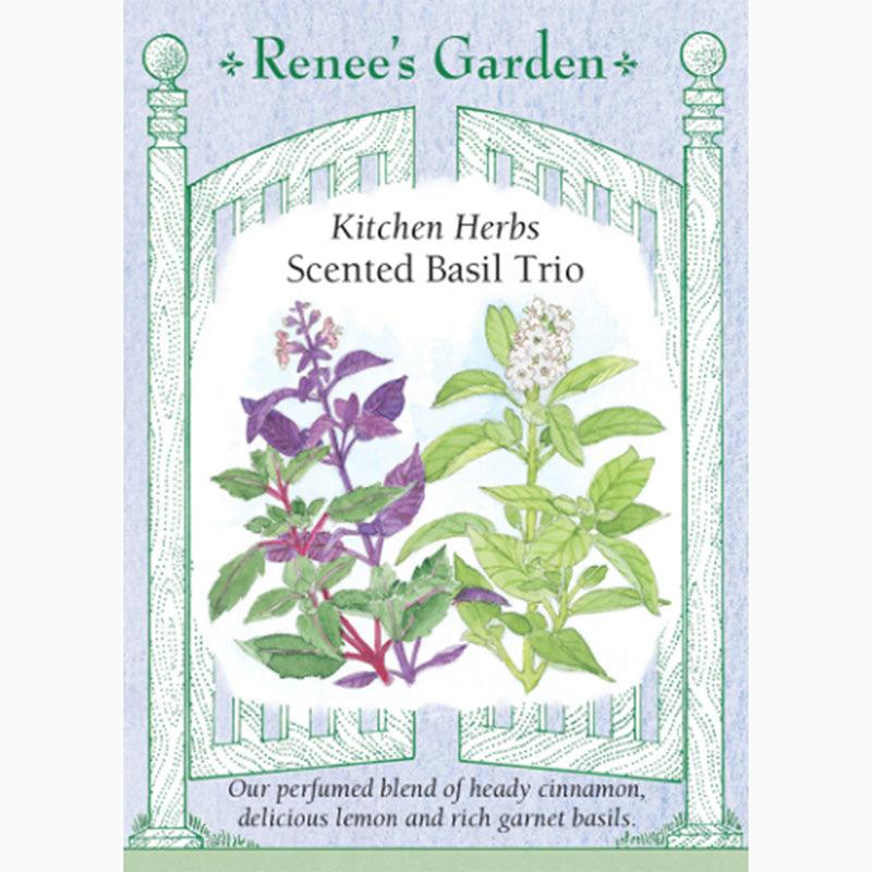 Kitchen Herbs Scented Basil Trio Seed Mix
