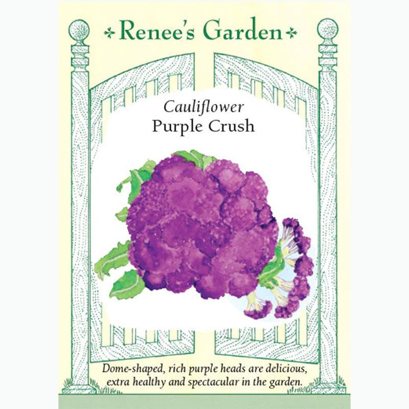 Purple Crush Cauliflower Seeds
