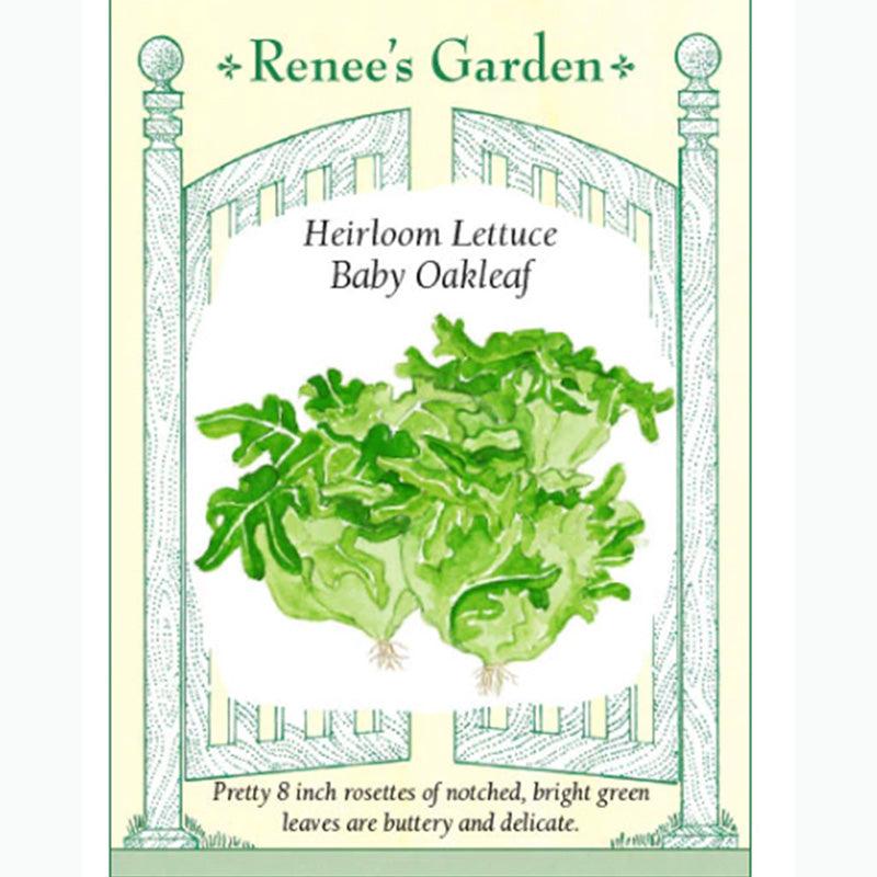 Baby Oakleaf Lettuce Seeds