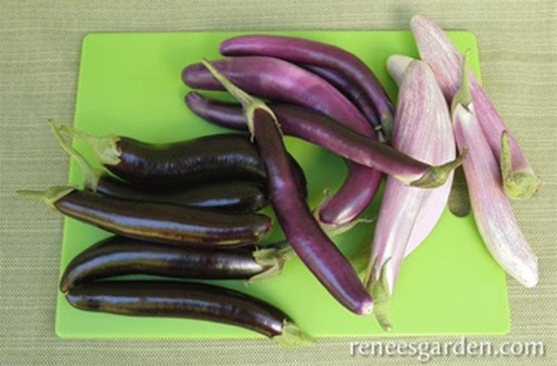 Asian Trio Specialty Eggplants Seed Mix