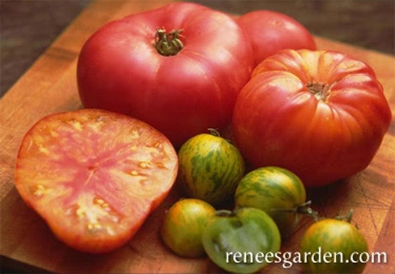 Rainbow's End Heirloom Tomato Seeds