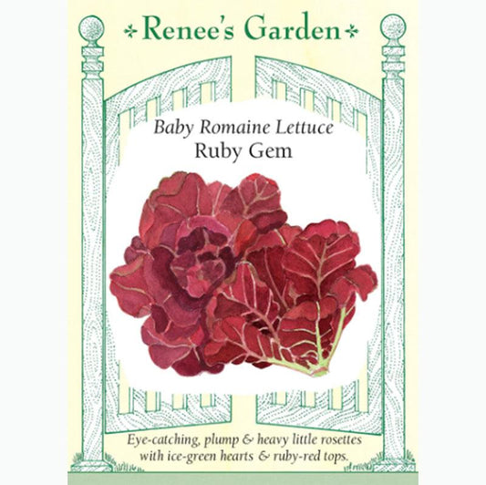 Ruby Gem Baby Romaine Lettuce Seeds