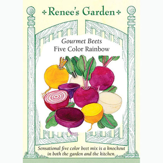 Five Color Rainbow Gourmet Beet Seed Mix