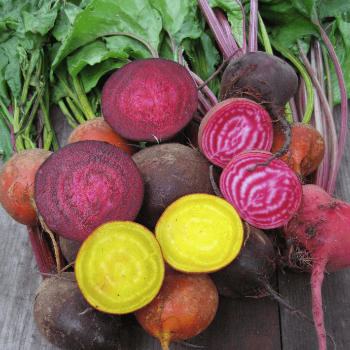 Organic Brilliant Beets Blend Art Pack