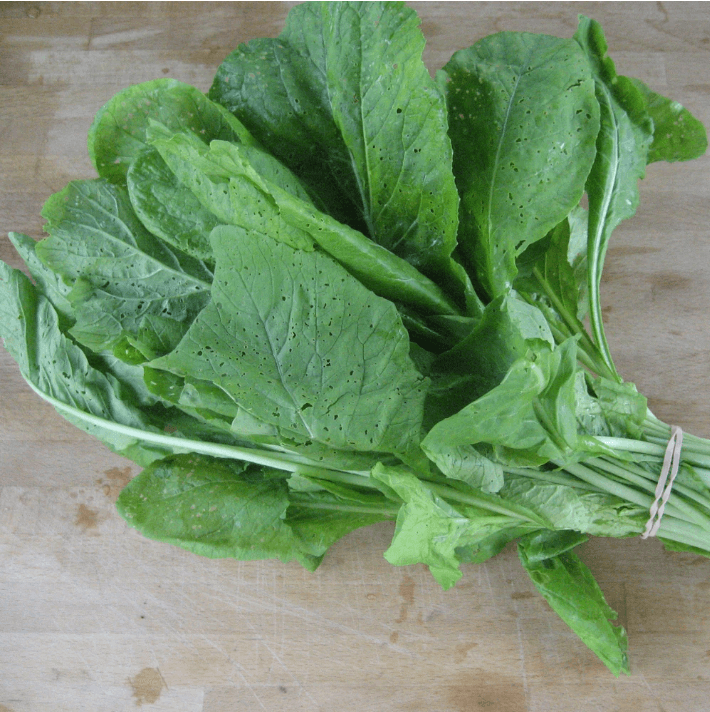 Organic Tendergreen Komatsuna Art Pack