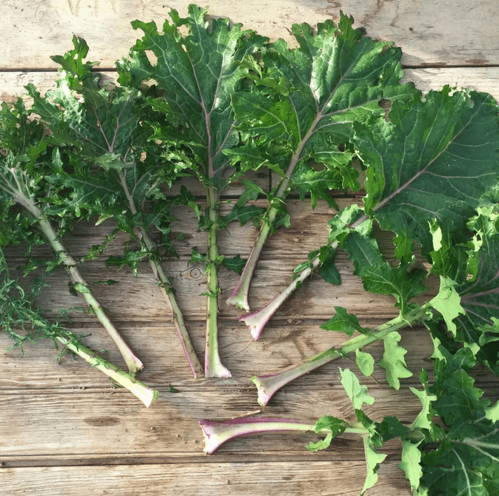 Organic All Stars Kale Art Pack