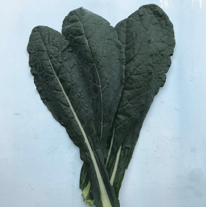 Organic Dino Kale Art Pack
