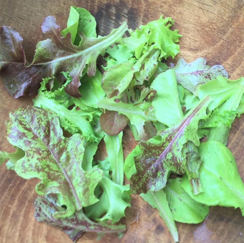 Metta Lettuce Mix (Organic)