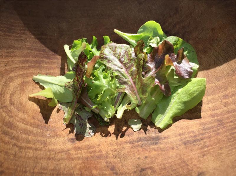 Metta Lettuce Mix (Organic)