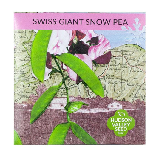 Swiss Giant Snow Pea Art Pack (Organic)