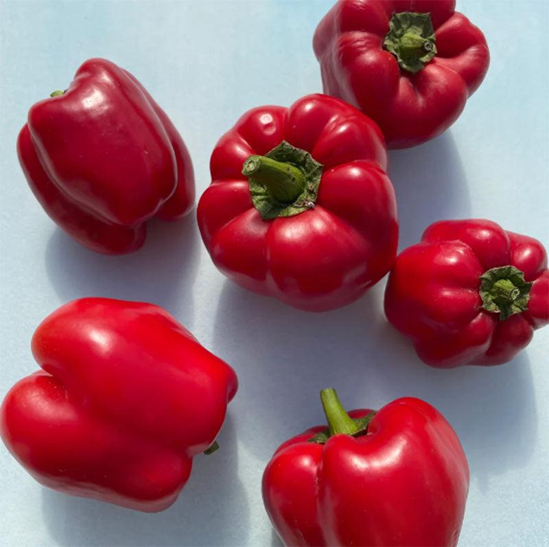 King of the North Sweet Bell Pepper Art Pack (Organic)