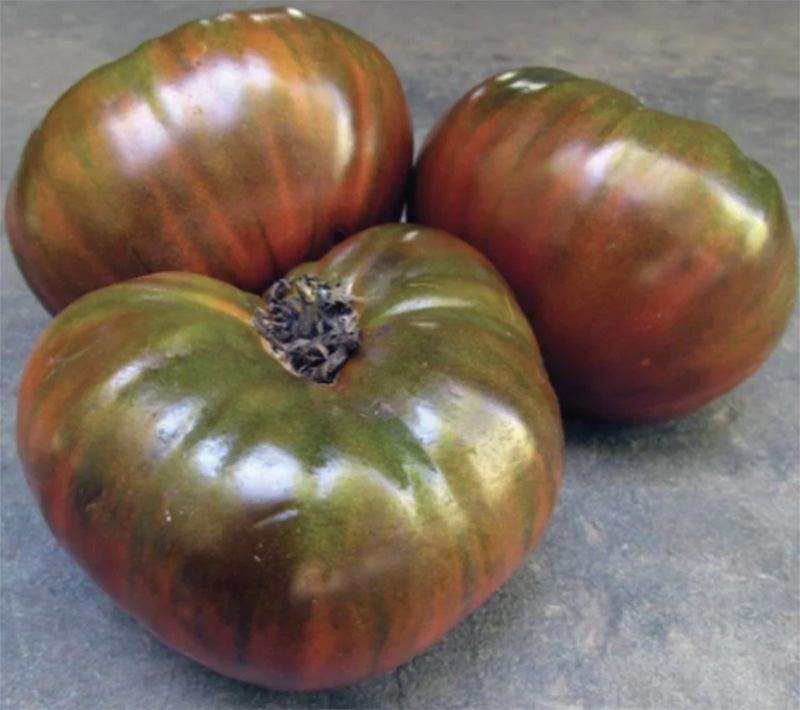Paul Robeson Tomato Art Pack (Organic)